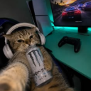 Tjlmo45