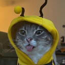 DanBuzzBuzzBuzz