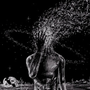 bendogme