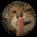 PrimeVexoLive