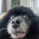 OldManArty
