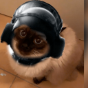 zCrxticxl
