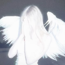 msnGN