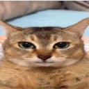 Xmilon.UNIT