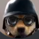 BOUZINHO.