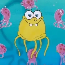 Fazoocatron