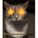 OlplerShugii