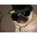 DOG.._..