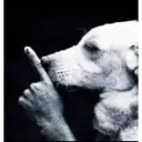 WashiGOAT