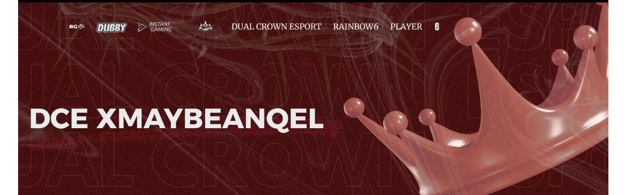 Banner do perfil