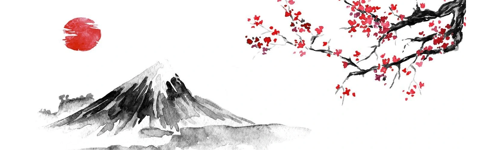 Banner de perfil