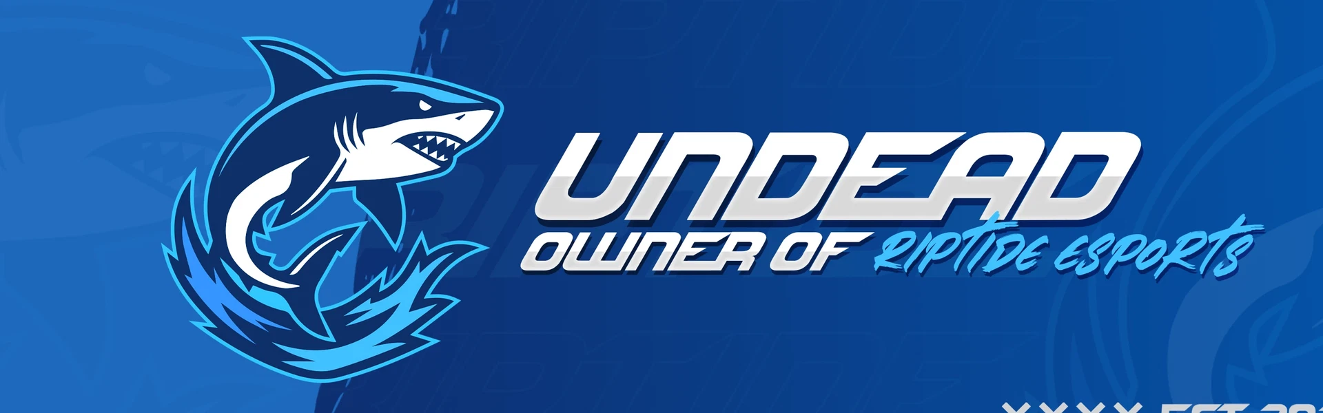 Profile Banner