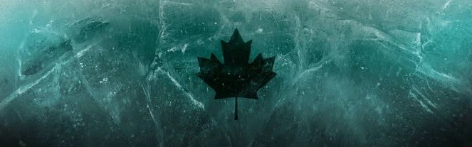 Profielbanner