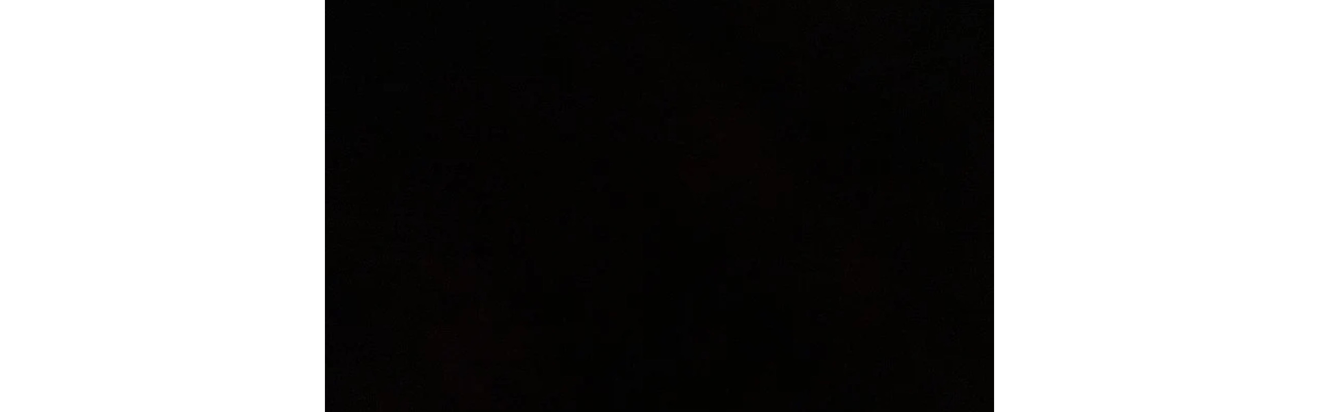 Profile Banner