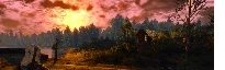 Profile Banner