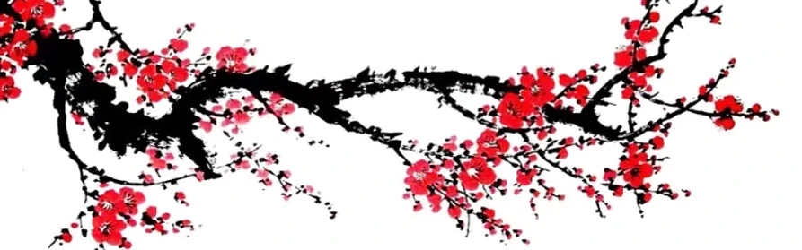 Profile Banner