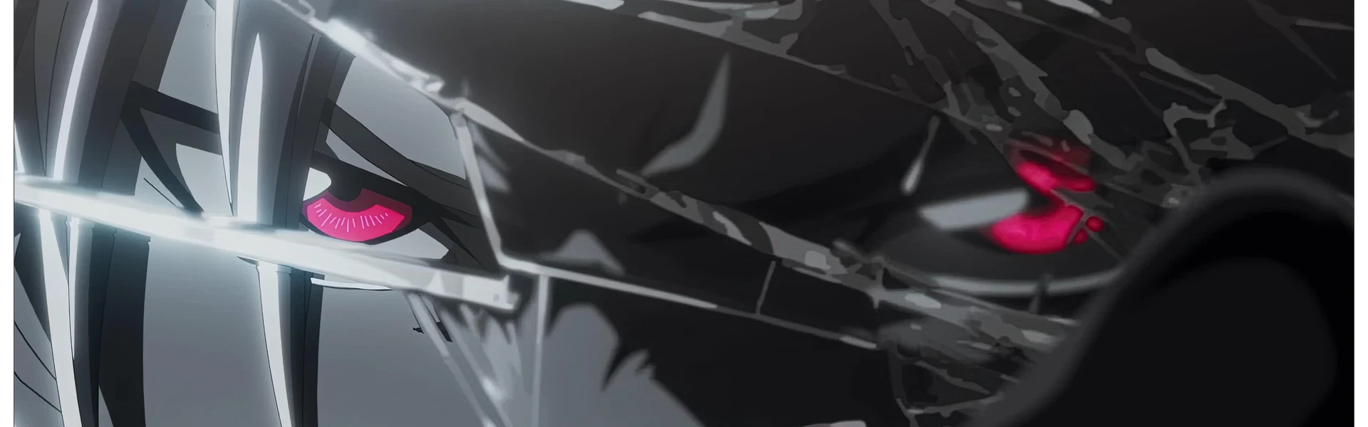 Profile Banner