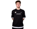 p4sh4