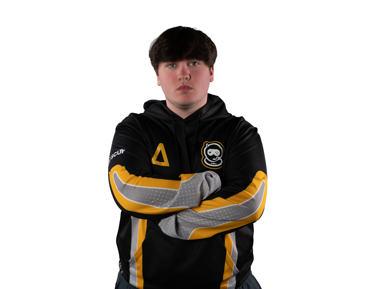 Portrait of Raid