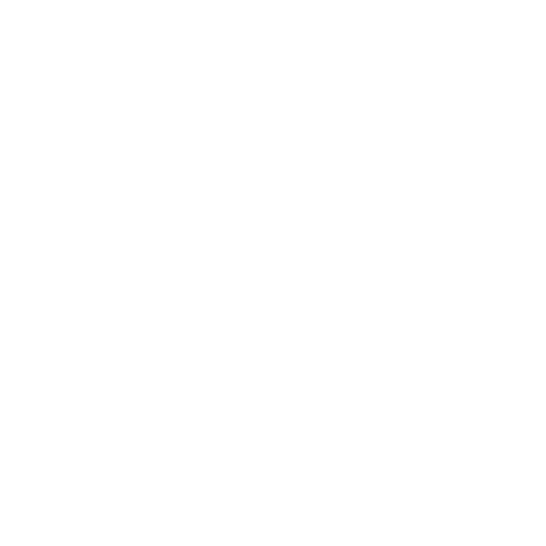 Shopify Rebellion logo