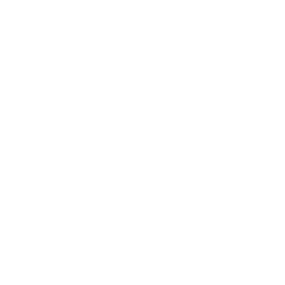 NIGHT WOLVES