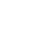 NIGHT WOLVES