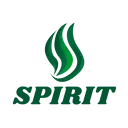 Spirit Esports Academy
