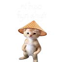 Ni Hao Fyn Shyt
